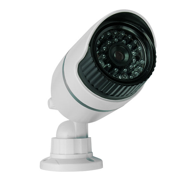 Cámara dummy | MS-DMFLW