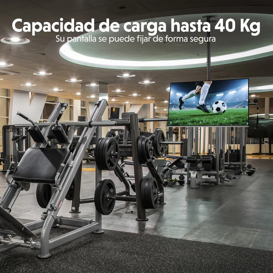 Soporte de Techo para TV y Pantallas 42”–80” |  HO-ROOF42-80