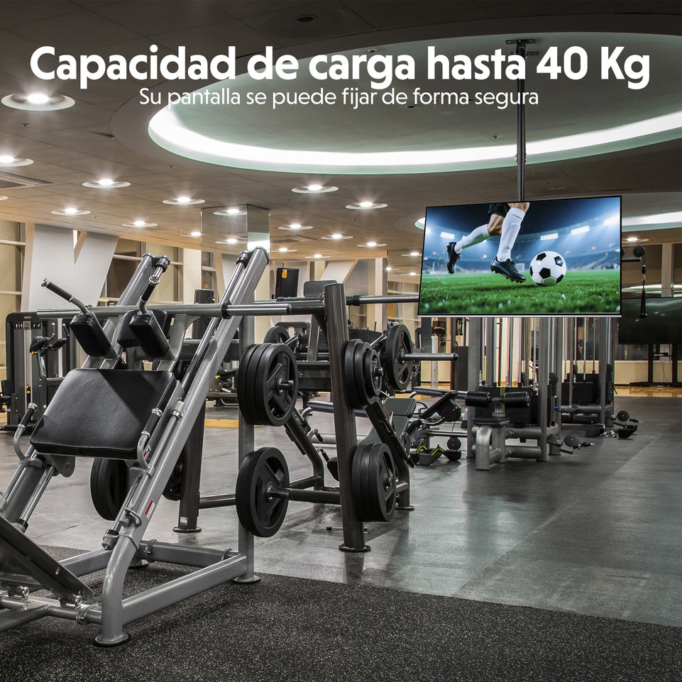 Soporte de Techo para TV y Pantallas 42”–80” | VESA 100x100–420x600, Altura Ajustable | HO-ROOF42-80