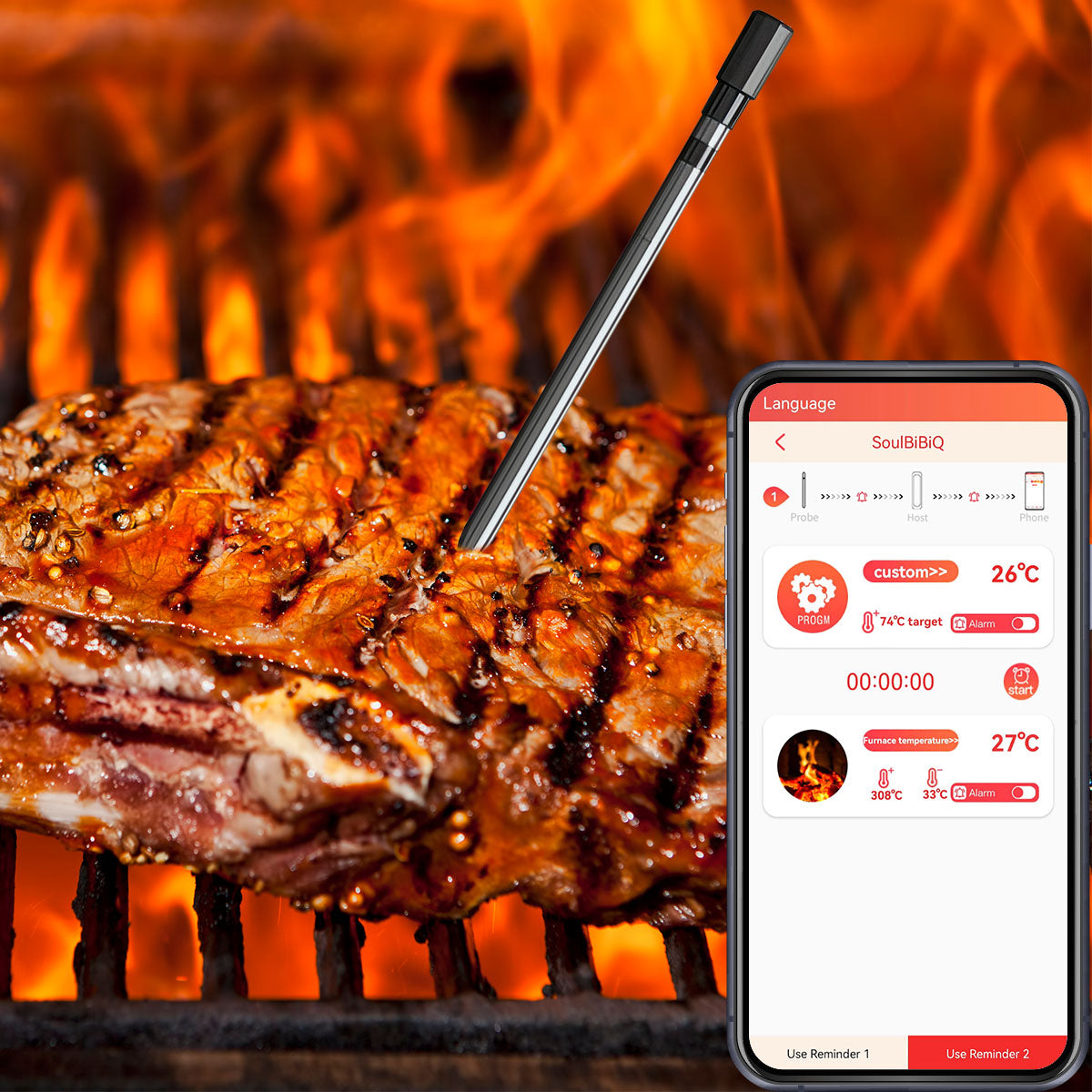 Termómetro Inteligente para Carne | IOT-TESTER