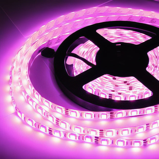 Tire LED luz rosa 5m de 60 LEDS por metro | ML-PINK5050