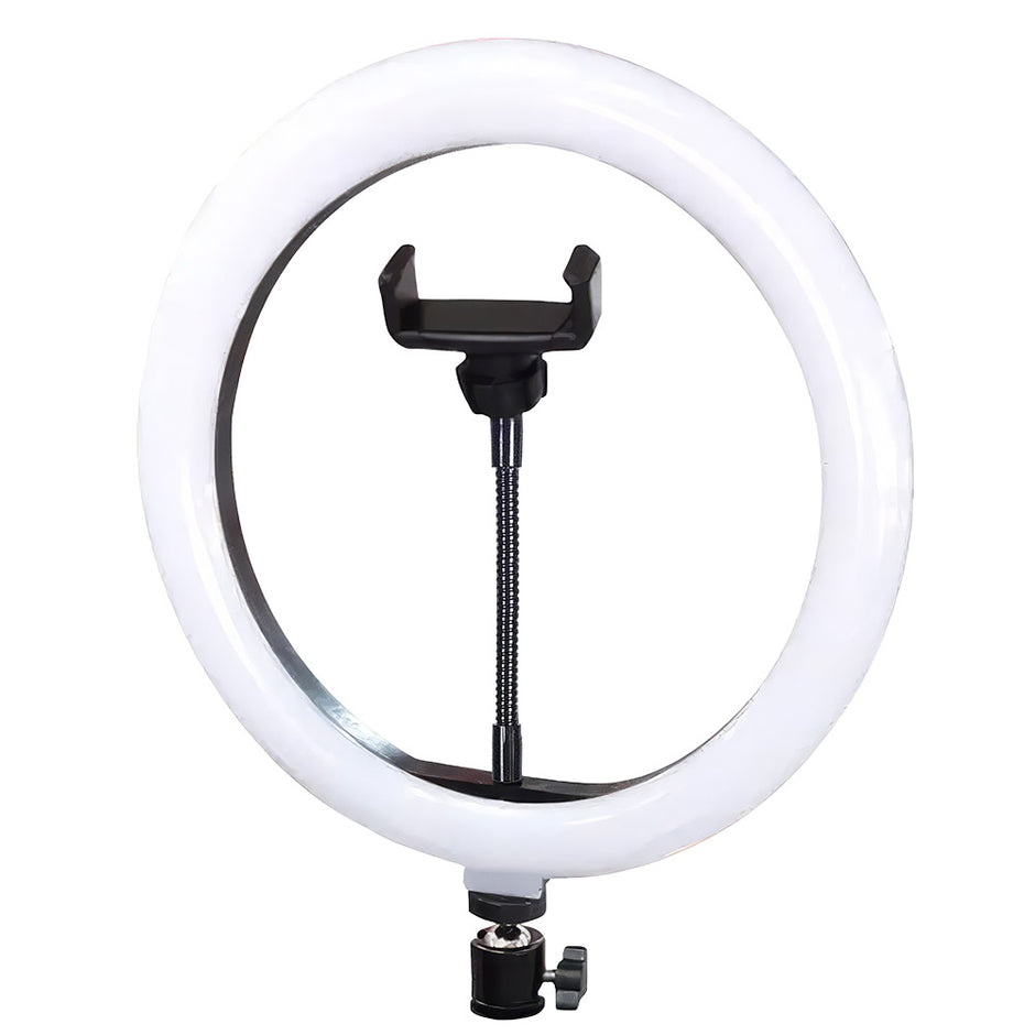 Aro de luz RGB 10