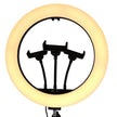 Aro de luz con 3 clips para celular luz blanca fría / luz cálida | ML-RING14-3