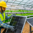 Panel Solar de 250W – Energía Limpia para Hogar e Industria | MP-CELDA250W