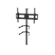 Soporte para TV y Pantallas 32”–55” | Ajuste de Posición y Fácil Instalación | HO-FLDVDDLB