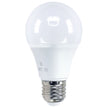 Foco LED de 8W, luz fría  | MP-LEDB9W
