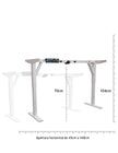 Escritorio inteligente ajustable soporta 50 kilos | HO-SMARTDESK